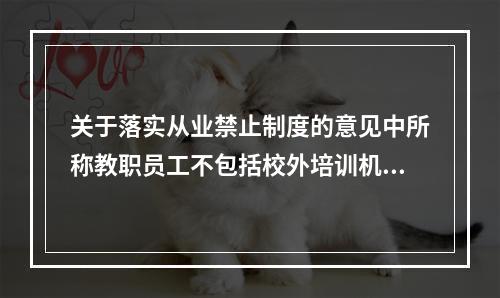 关于落实从业禁止制度的意见中所称教职员工不包括校外培训机构的工作人员对吗