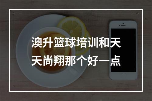 澳升篮球培训和天天尚翔那个好一点