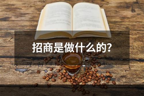 招商是做什么的？