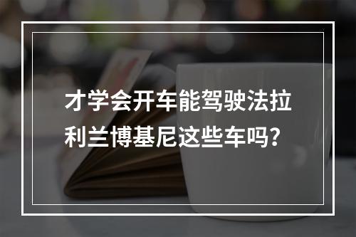 才学会开车能驾驶法拉利兰博基尼这些车吗？