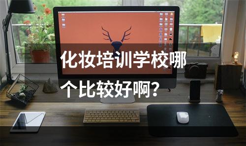 化妆培训学校哪个比较好啊？