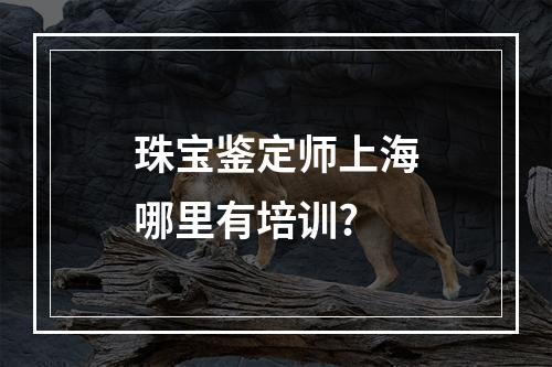 珠宝鉴定师上海哪里有培训?