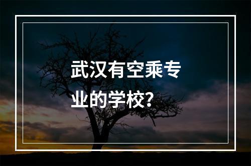 武汉有空乘专业的学校？