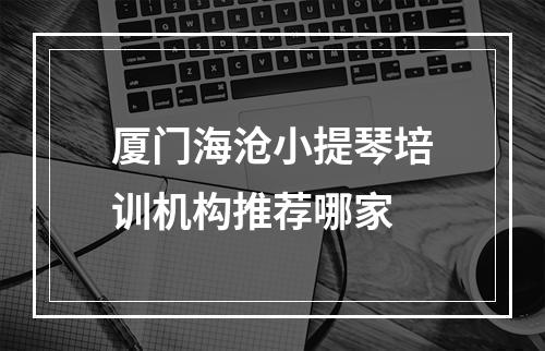 厦门海沧小提琴培训机构推荐哪家