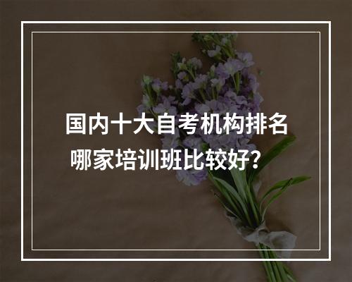 国内十大自考机构排名 哪家培训班比较好？