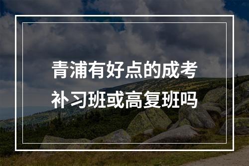 青浦有好点的成考补习班或高复班吗