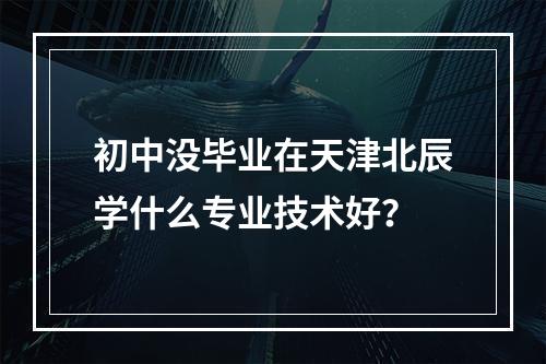 初中没毕业在天津北辰学什么专业技术好？