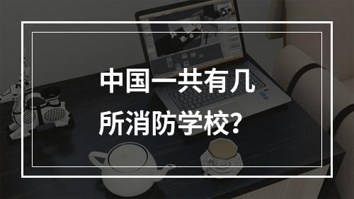 中国一共有几所消防学校？