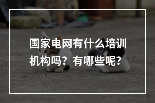 国家电网有什么培训机构吗？有哪些呢？