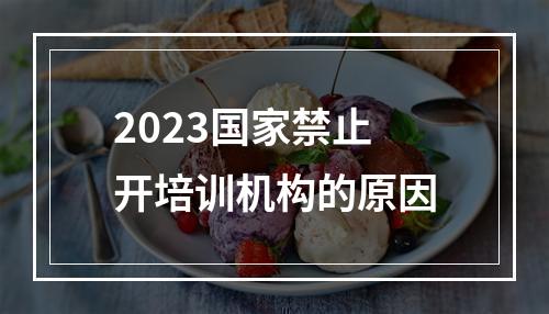 2023国家禁止开培训机构的原因