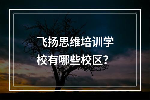 飞扬思维培训学校有哪些校区？