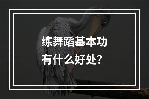 练舞蹈基本功有什么好处？