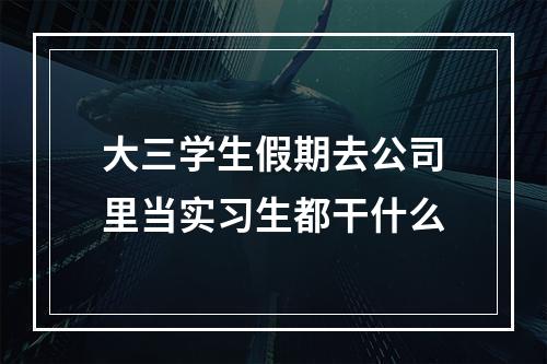 大三学生假期去公司里当实习生都干什么