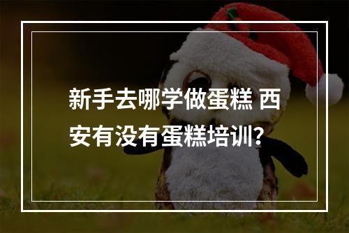 新手去哪学做蛋糕 西安有没有蛋糕培训？