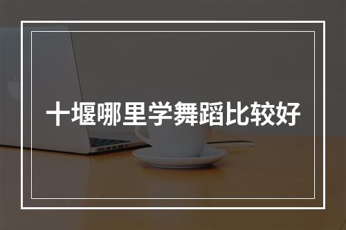 十堰哪里学舞蹈比较好