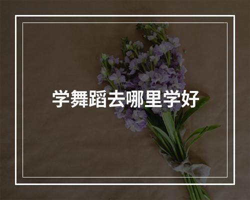 学舞蹈去哪里学好