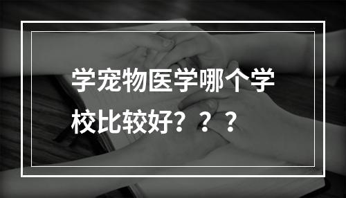 学宠物医学哪个学校比较好？？？