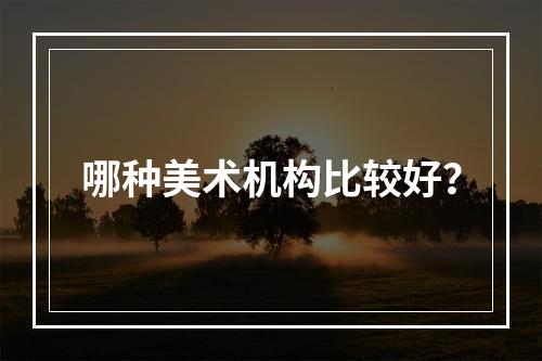 哪种美术机构比较好？