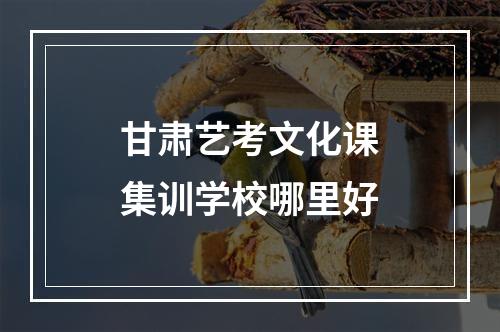 甘肃艺考文化课集训学校哪里好