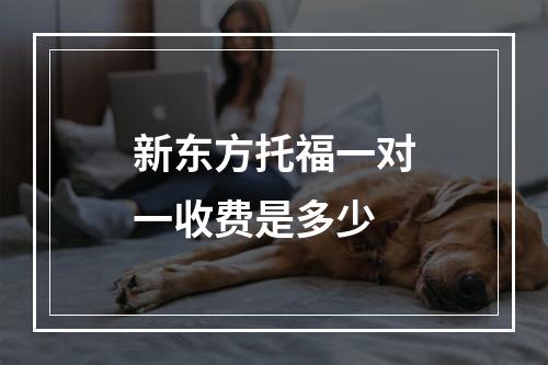 新东方托福一对一收费是多少