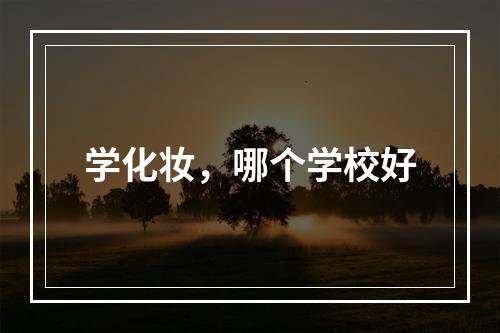 学化妆，哪个学校好