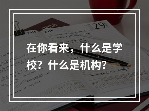 在你看来，什么是学校？什么是机构？