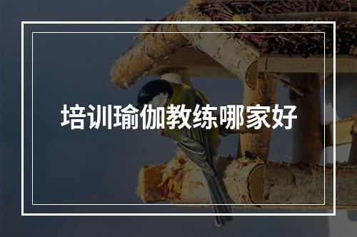 培训瑜伽教练哪家好