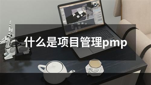 什么是项目管理pmp