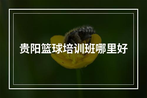 贵阳篮球培训班哪里好