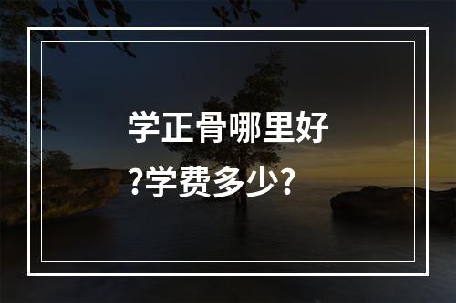 学正骨哪里好?学费多少?