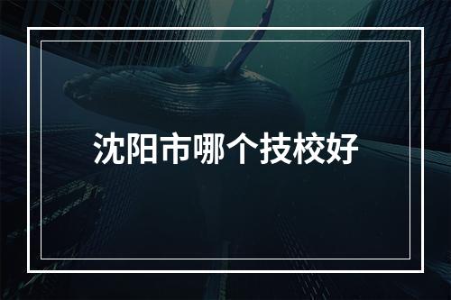 沈阳市哪个技校好