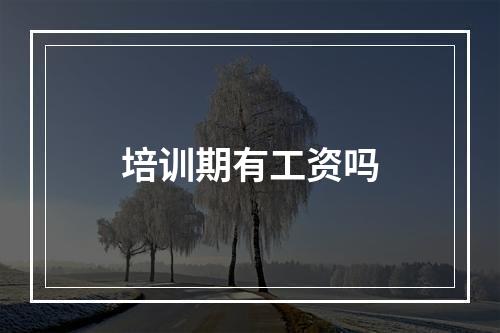 培训期有工资吗