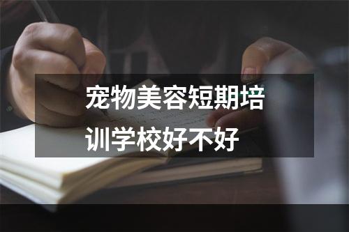 宠物美容短期培训学校好不好