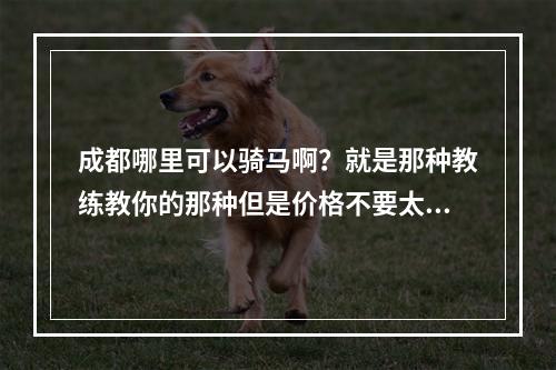 成都哪里可以骑马啊？就是那种教练教你的那种但是价格不要太贵的呢？听说青城山马术俱乐部不错？