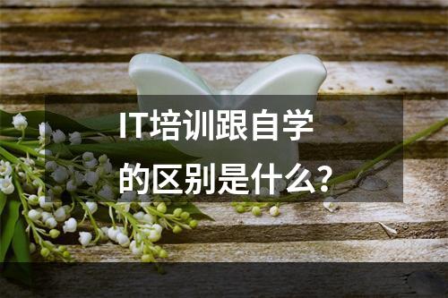 IT培训跟自学的区别是什么？