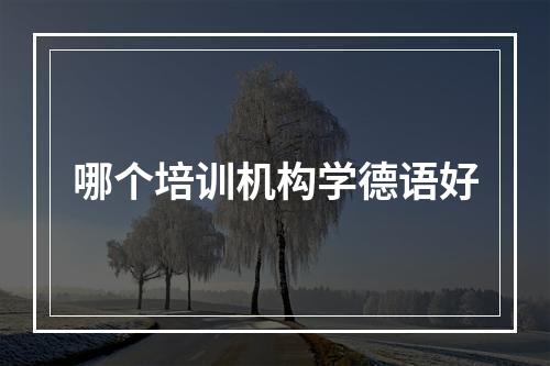 哪个培训机构学德语好