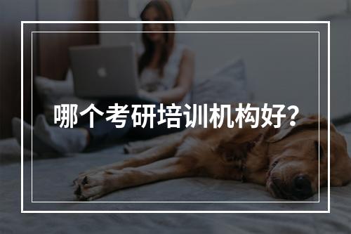 哪个考研培训机构好？