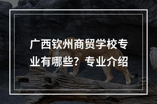 广西钦州商贸学校专业有哪些？专业介绍