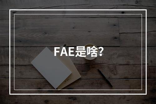 FAE是啥？