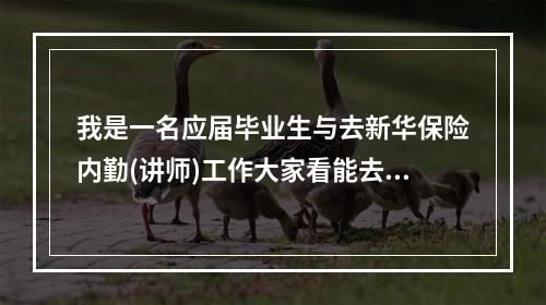 我是一名应届毕业生与去新华保险内勤(讲师)工作大家看能去吗？大侠指点！