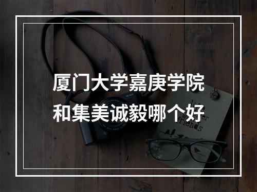 厦门大学嘉庚学院和集美诚毅哪个好