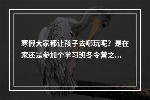 寒假大家都让孩子去哪玩呢？是在家还是参加个学习班冬令营之类的呢？