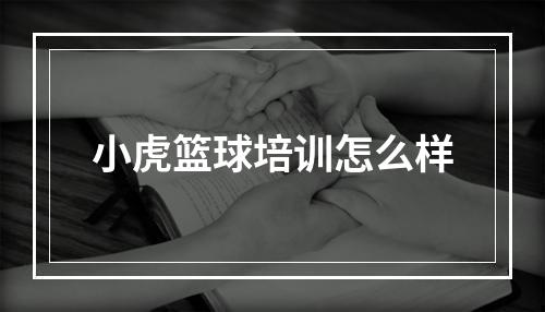 小虎篮球培训怎么样