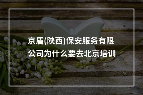 京盾(陕西)保安服务有限公司为什么要去北京培训