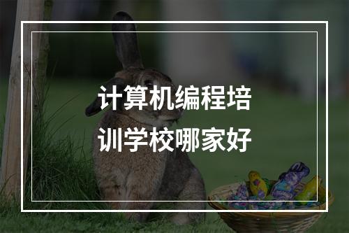 计算机编程培训学校哪家好