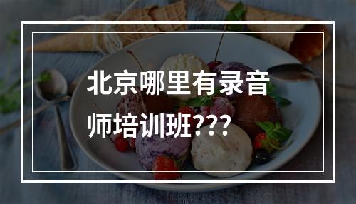 北京哪里有录音师培训班???