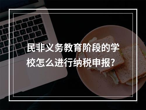 民非义务教育阶段的学校怎么进行纳税申报?