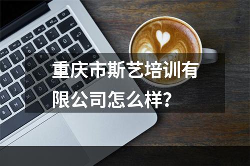 重庆市斯艺培训有限公司怎么样？