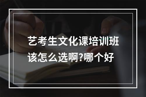 艺考生文化课培训班该怎么选啊?哪个好