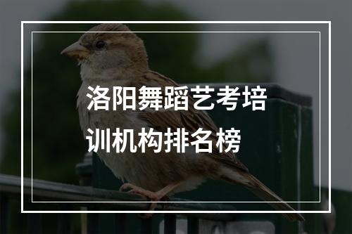 洛阳舞蹈艺考培训机构排名榜